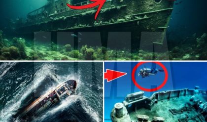 Nuevos y sorprendentes descubrimientos sobre un misterioso barco que se encuentra bajo el Triángulo de las Bermudas