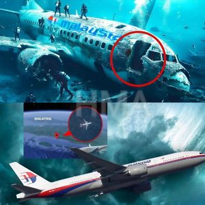 Nuevas pistas sobre el vuelo perdido MH370 hechas públicas por F3I….