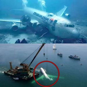 Un nuevo y aterrador descubrimiento del avión embrujado después de 70 años de misterio lo cambia todo