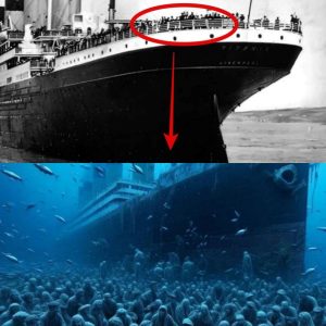 ¿A dónde desaparecieron todos los cuerpos del Titanic?