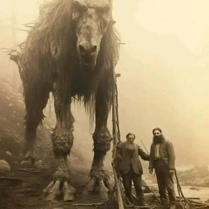 Los gigantes descubiertos detrás del muro de hielo de la Antartida