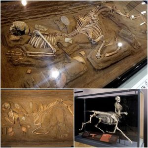 » Uno de los tres entierros de centauros descubiertos en 1980 por la Sociedad Arqueológica de Argos Orestiko, a ocho kilómetros al noreste de Volos, Grecia.