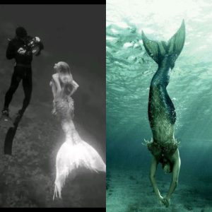 Revelando la escalofriante verdad: ¡En qué se diferencian las sirenas de la vida real de las fotografías!