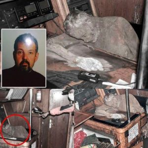 NOTICIA DE ÚLTIMA HORA: Se revela el misterio: encuentran el cuerpo congelado del capitán en un barco fantasma del siglo XVIII