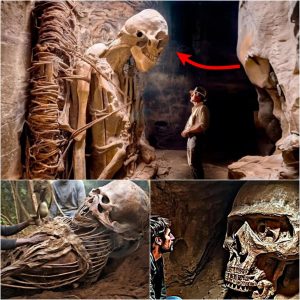 Descubrimiento aterrador: enormes esqueletos gigantes encontrados acechando bajo el Gran Cañón