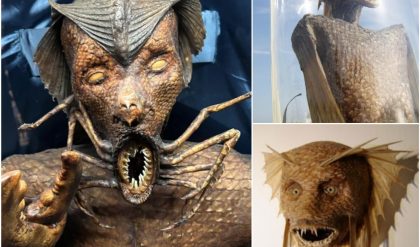 Última hora: La única sirena real mostrada en Nueva York a millones de personas